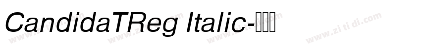 CandidaTReg Italic字体转换